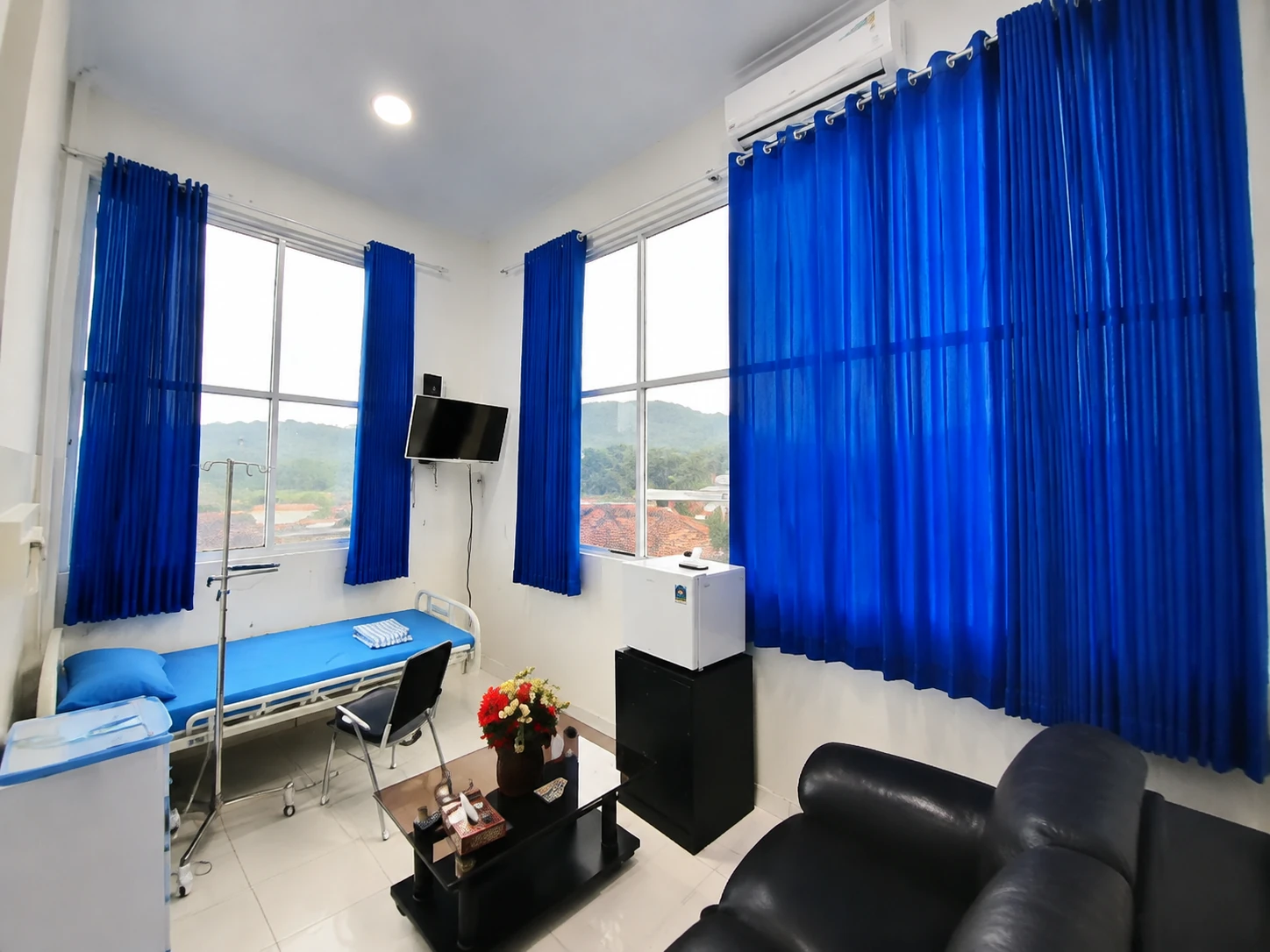 Ruang rawat inap VVIP Tulip dengan tempat tidur pasien, sofa, televisi, kulkas, dan jendela besar
